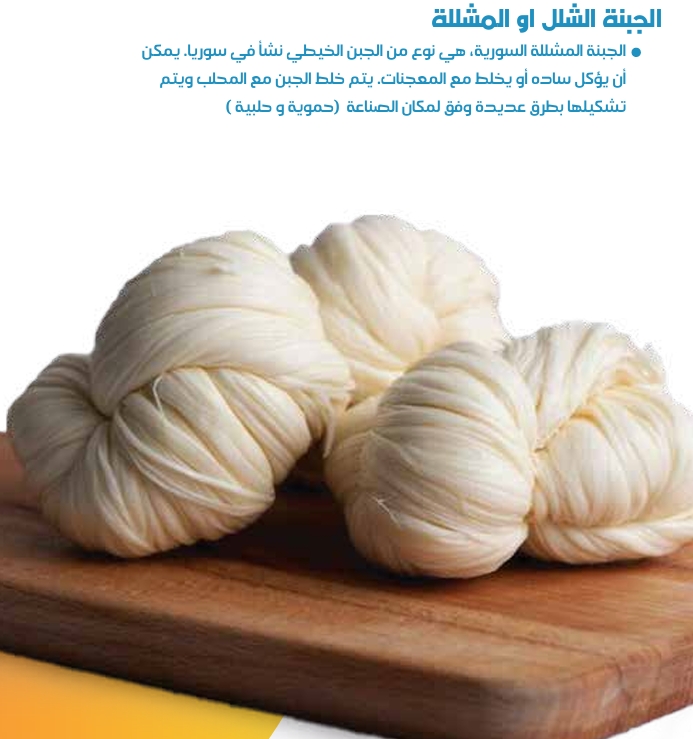 الجبنة الشلل أو المشللة